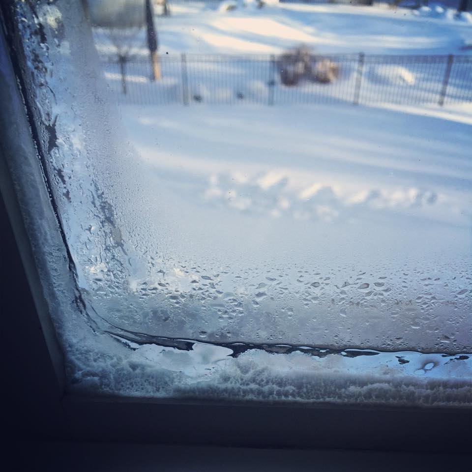 Moisture/Mold on windows in winter? How to manage - 10 tips