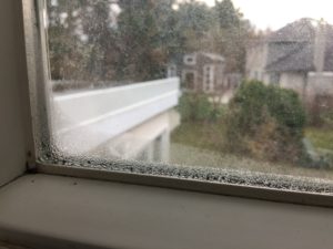 Moisture/Mold on windows in winter? How to manage - 10 tips
